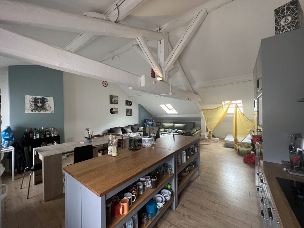 Appartement 5 pièces colocation avec parking